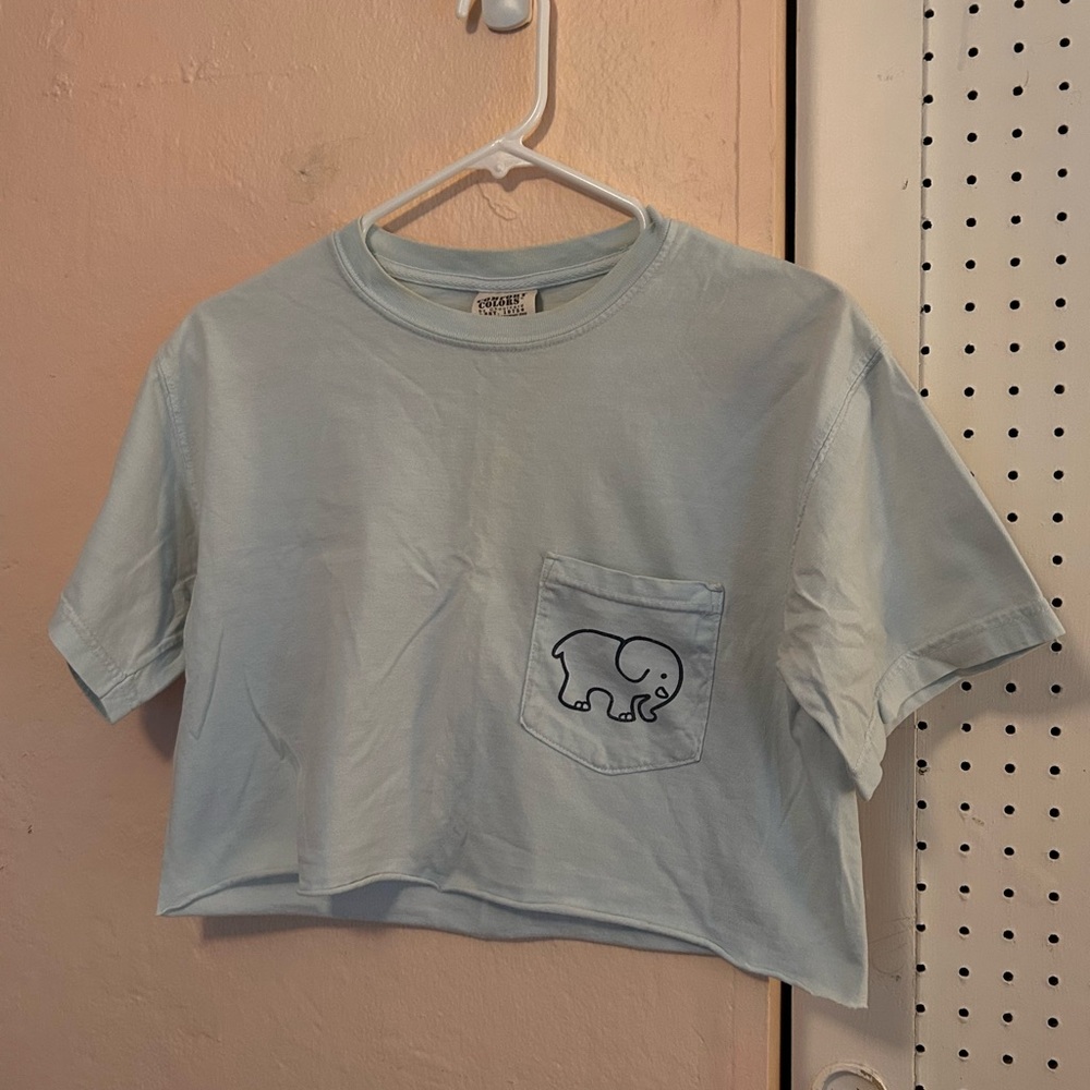 Ivory Ella Light Blue Crop Top